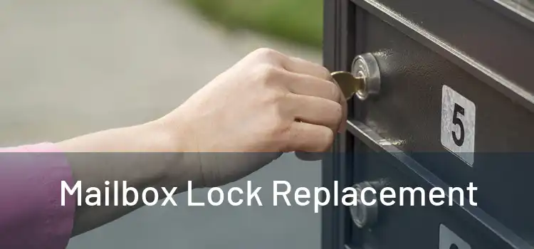 Mailbox Lock Replacement